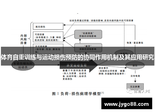 体育自重训练与运动损伤预防的协同作用机制及其应用研究